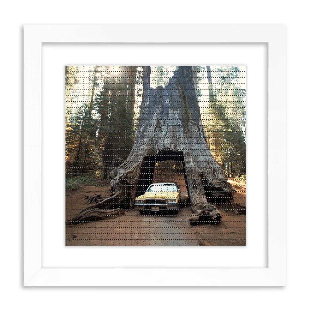 Roger Steffens – Redwood Garage Sequoia National Park, October 1988 – Blotter Edition – 8" x 8"